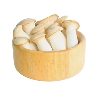 king oyster mushrooms (pleurotus eryngi) in wooden dish on White Background