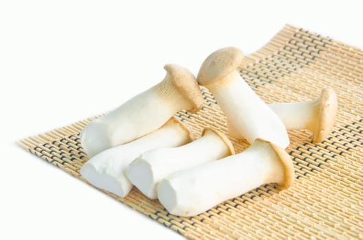 king oyster mushrooms (pleurotus eryngi)