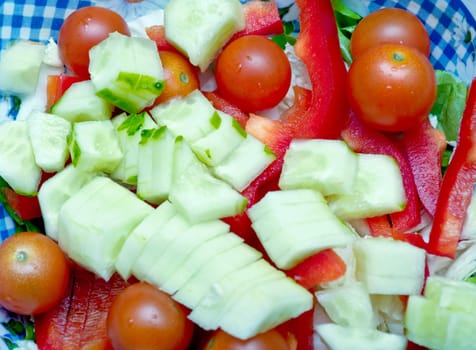 Vegetable salad from cucumbers, pepper, tomatoes, onions