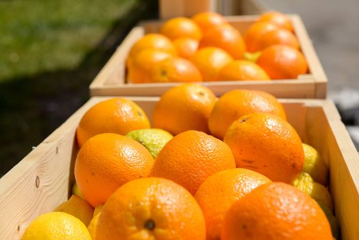 lot of ripe Oranges in wooden crates