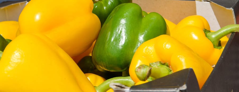 a lot of ripe clean green and yellow peppers