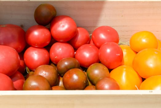 lot of red and yellow tomatoes in wooden crates