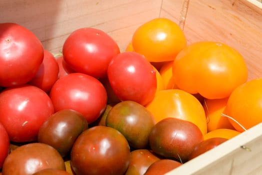 lot of red and yellow tomatoes in wooden crates