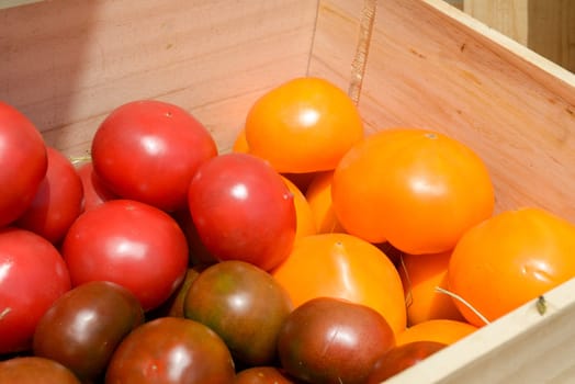 lot of red and yellow tomatoes in wooden crates