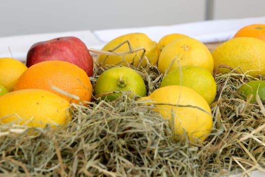 apples oranges and lemons on the market are in the box with hay