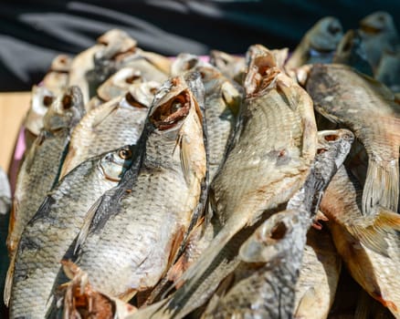 a bunch of all sorts of different dried fish