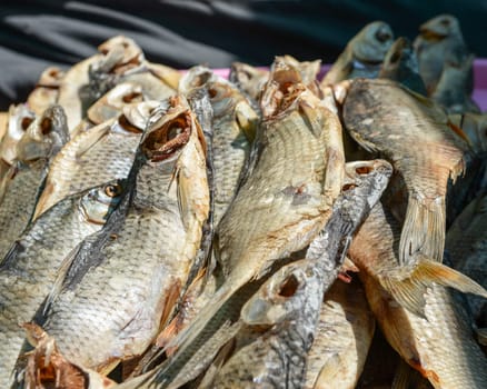 a bunch of all sorts of different dried fish