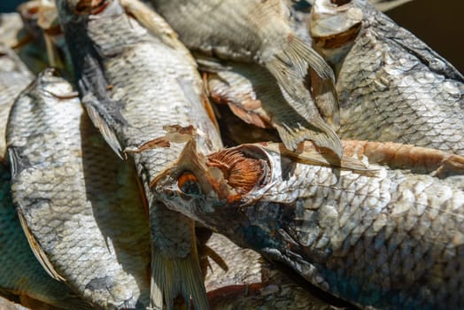 a bunch of all sorts of different dried fish