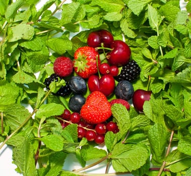 a lot of different berries and green leaves