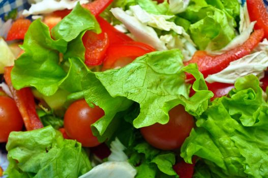 Vegetable salad from cucumbers, pepper, tomatoes, green salad