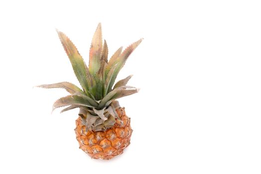 the fresh pineapple on the white background