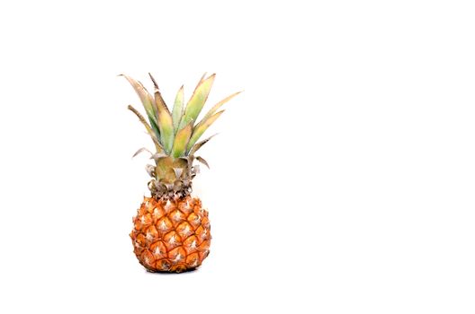 the fresh pineapple on the white background