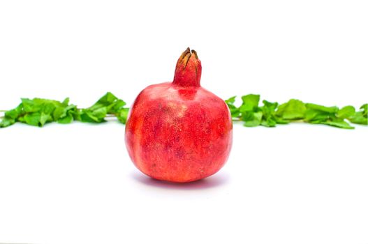 pomegranate on white background