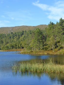 Beautiful countryside from Norway's west coast.