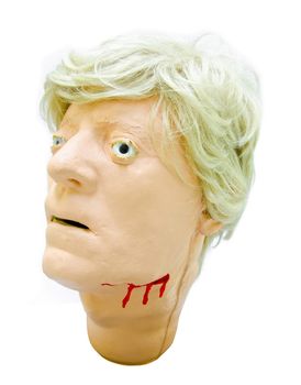 Head injury patients model. Training model for students studying medicine.
