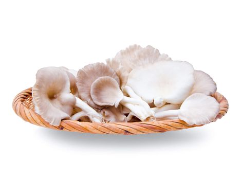 oyster mushrooms in weave basket wood on white background