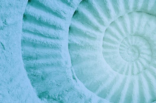 Color of ammonite prehistoric fossil, abstract background.