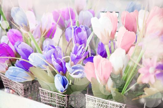 soft focus of Vintage tulip flowers and soft bokeh.