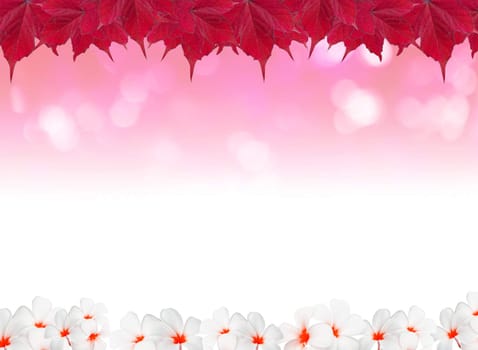 Abstract natural backgrounds with beauty bokeh