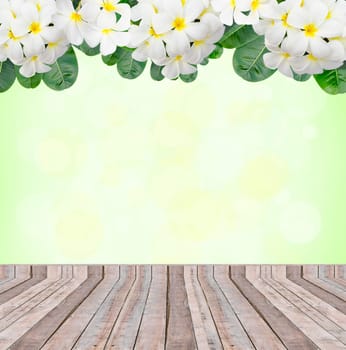 Plumeria frame and leaves and wood bridge on Beautiful spring background