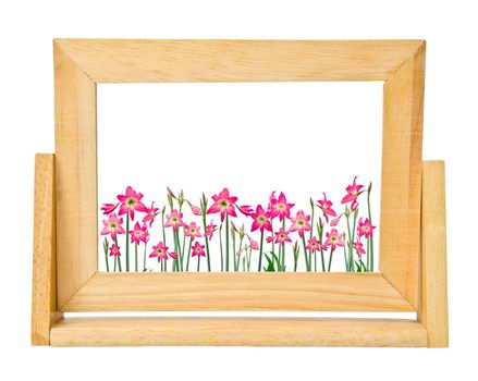 Hippeastrum flower in frame photo