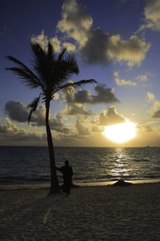 woman leaning on a palm tree looking at the sunrise