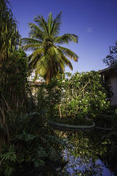 Resort hotel hidden in a jungle