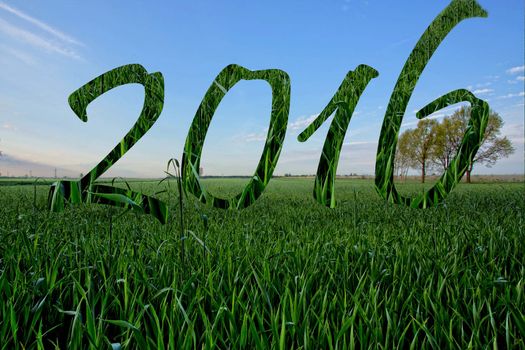 Happy New year 2016, inscription on the grass