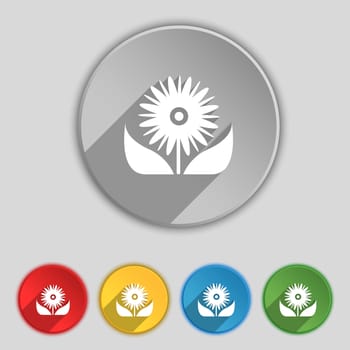 Bouquet of flowers with petals icon sign. Symbol on five flat buttons. illustration