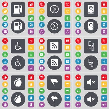 Gas station, Arrow right, Speaker, Disabled person, RSS, Connection, Apple, Flag, Mute icon symbol. A large set of flat, colored buttons for your design. illustration