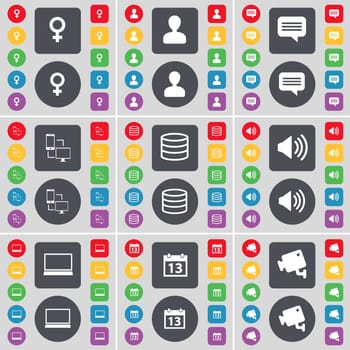 Venus symbol, Avatar, Chat bubble, Connection, Database, Sound, Laptop, Calendar, CCTV icon symbol. A large set of flat, colored buttons for your design. illustration
