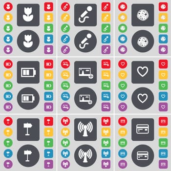 Flower, Microphone, Pizza, Battery, Picture, Heart, Sighpost, Wi-Fi, Credit card icon symbol. A large set of flat, colored buttons for your design. illustration