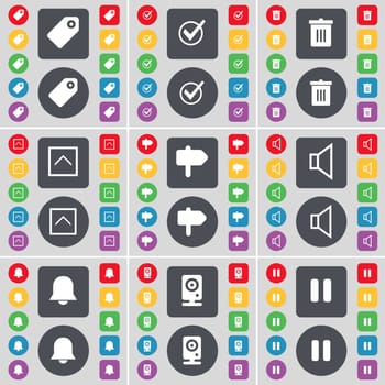 Tag, Tick, Trash can, Arrow up, Signpost, Sound, Notification, Speaker, Pause icon symbol. A large set of flat, colored buttons for your design. illustration