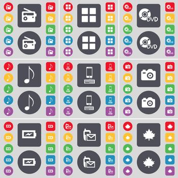 Radio, Apps, DVD, Note, Smartphone, Camera, Charging, SMS, Maple leaf icon symbol. A large set of flat, colored buttons for your design. illustration