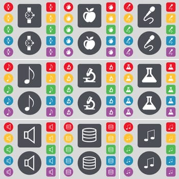 Wrist watch, Apple, Microphone, Note, Microscope, Flask, Sound, Database, Note icon symbol. A large set of flat, colored buttons for your design. illustration