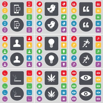 SMS, Bird, Quotation mark, Avatar, Light bulb, Silhouette, Cigarette, Marijuana, Vision icon symbol. A large set of flat, colored buttons for your design. illustration