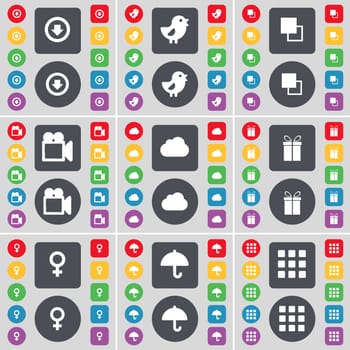 Arrow down, Bird, Copy, Film camera, Cloud, Gift, Venus symbol, Umbrella, Apps icon symbol. A large set of flat, colored buttons for your design. illustration