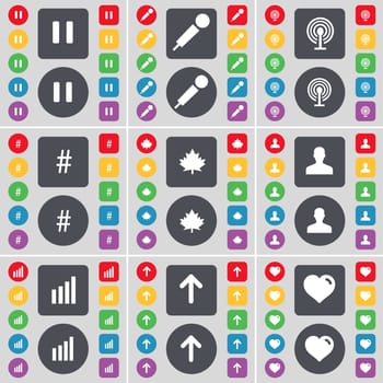 Pause, Microphone, Wi-Fi, Hashtag, Maple leaf, Avatar, Diagram, Arrow up, Heart icon symbol. A large set of flat, colored buttons for your design. illustration