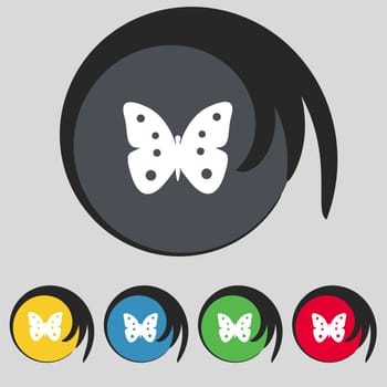 Butterfly sign icon. insect symbol. Set colourful buttons. illustration