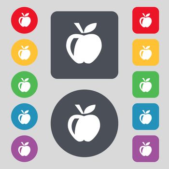 Apple icon sign. A set of 12 colored buttons. Flat design. illustration