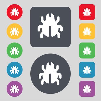 Software Bug, Virus, Disinfection, beetle icon sign. A set of 12 colored buttons. Flat design. illustration