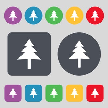 Christmas tree icon sign. A set of 12 colored buttons. Flat design. illustration