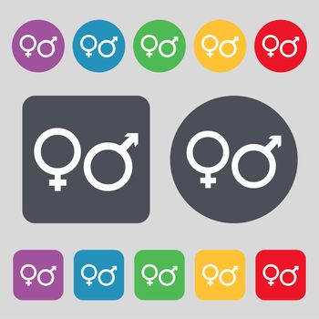 male and female icon sign. A set of 12 colored buttons. Flat design. illustration