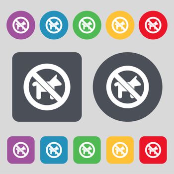 dog walking is prohibited icon sign. A set of 12 colored buttons. Flat design. illustration