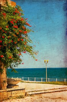 Constanta seafront in summer time 