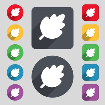 Leaf, Fresh natural product icon sign. A set of 12 colored buttons and a long shadow. Flat design. illustration