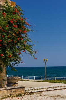 Constanta seafront in summer time 