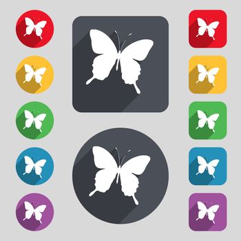 butterfly icon sign. A set of 12 colored buttons and a long shadow. Flat design. illustration