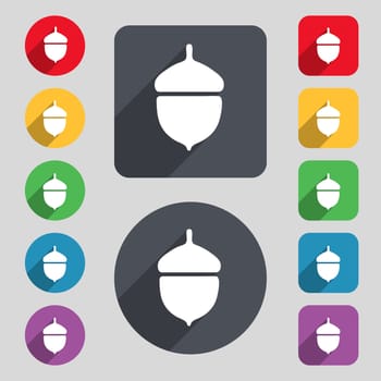 Acorn icon sign. A set of 12 colored buttons and a long shadow. Flat design. illustration