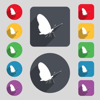 butterfly icon sign. A set of 12 colored buttons and a long shadow. Flat design. illustration